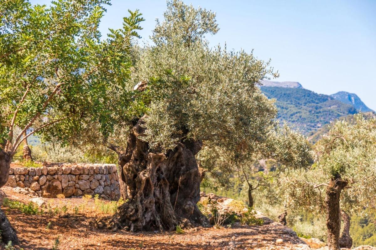 Finca Rural Es Pujol ソリェル エクステリア 写真