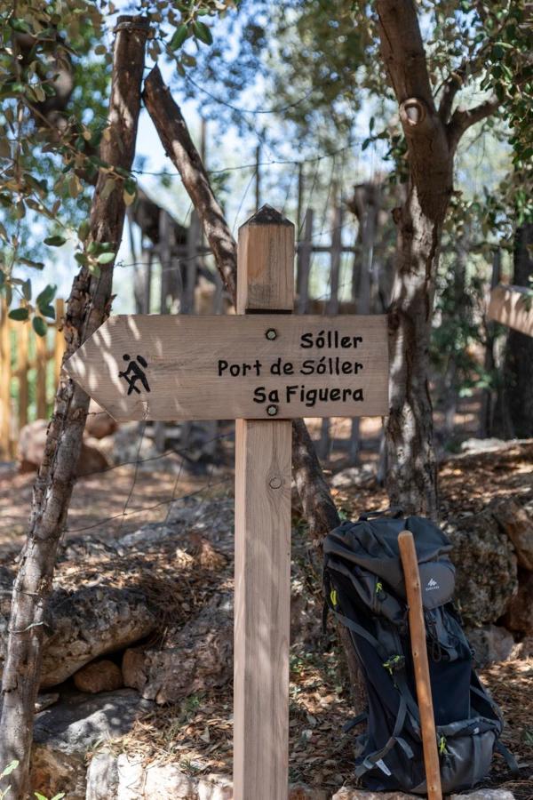 Finca Rural Es Pujol ソリェル エクステリア 写真
